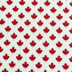 1642 Canadian Flag